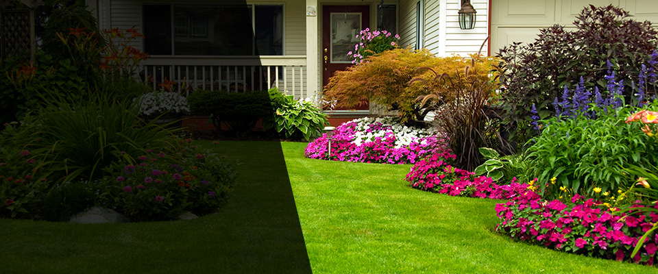Casey Landscapers