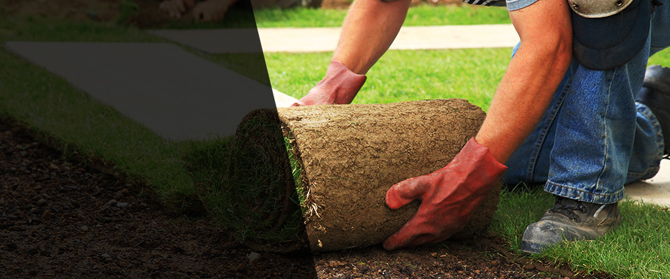 Casey Landscapers